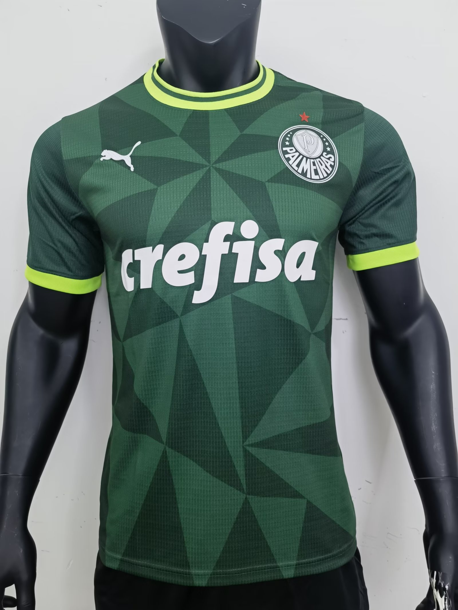 AAA Quality Palmeiras 23/24 Home Soccer Jersey(Player)